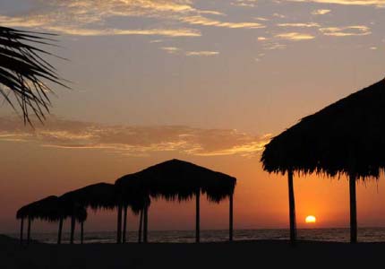 Tumbes - En la ciudad situada al extremo norte del Perú encontrarás un sol brilla todo el año y el mar se mezcla con manglares, playas de ensueño y una gastronomía que celebra lo mejor de la costa. Viaja junto a ITTSABUS con destino Tumbes y descubre un servicio que cumple con tus expectativas. Disfruta de buses equipados con asientos amplios y ergonómicos pensados para tu confort, climatización inteligente. Además, cuidamos tu seguridad a cada kilómetro con la experiencia de los conductores en todas nuestras rutas. Nuestro terminal en Tumbes se ubica en un punto estratégico para que llegues rápido a Zorritos, Punta Sal o al centro de la ciudad. Compra hoy tus pasajes de bus a Tumbes y recorre el norte con la experiencia y confianza que solo ITTSABUS puede darte.